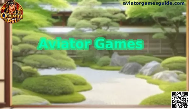 Guía visual de Aviator Games para usuarios de México