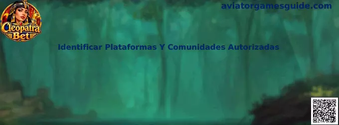 Guía para identificar plataformas y comunidades autorizadas de juegos