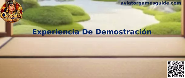 Interfaz ilustrativa de una Experiencia De Demostración de Aviator Games