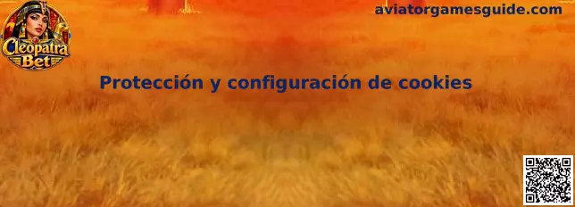 Protección y configuración de cookies en Aviator Games